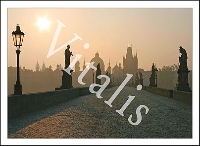 Postkarte Nr. 31